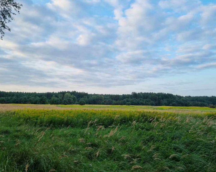 Działka Sprzedaż Szczecin Wielgowo Żywiczna