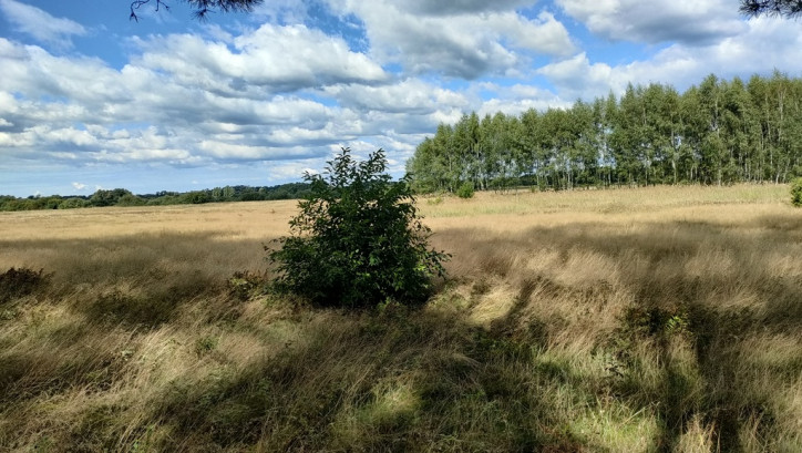 Działka Sprzedaż Komarowo 6