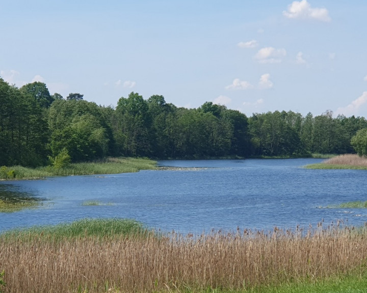 Działka Sprzedaż Zieleniewo