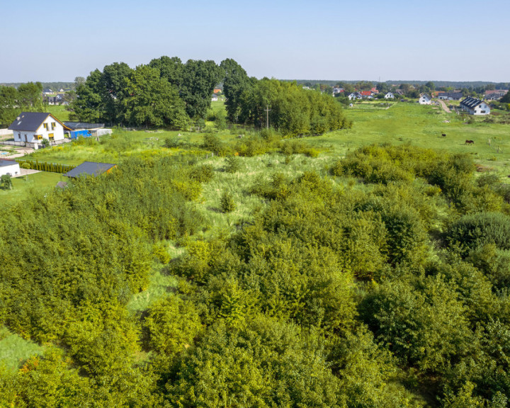 Działka Sprzedaż Kliniska Wielkie