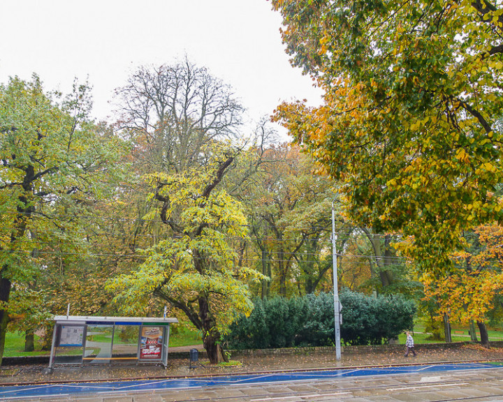 Mieszkanie Sprzedaż Szczecin Śródmieście Jacka Malczewskiego