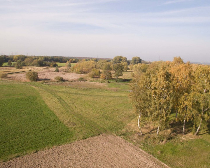 Działka Sprzedaż Szczecin Skolwin