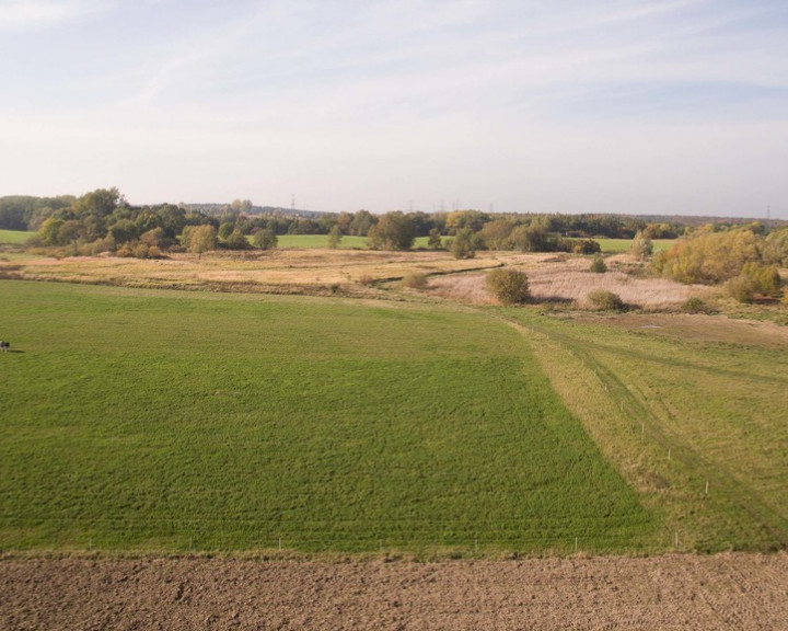 Działka Sprzedaż Szczecin Skolwin