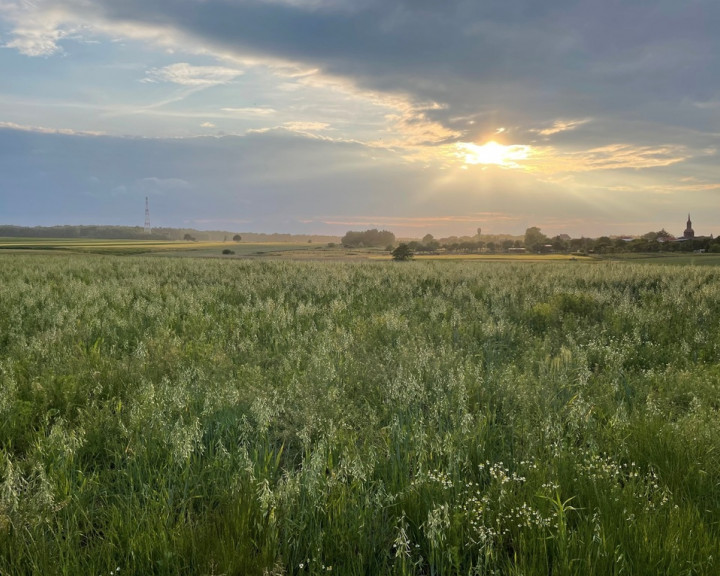 Działka Sprzedaż Przęsocin