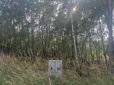 Działka Sprzedaż Dziwnów