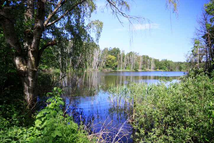 Działka Sprzedaż Bartoszewo 4