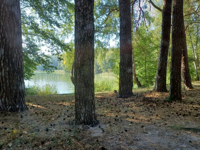 Działka Sprzedaż Bartoszewo 7