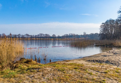 Działka Sprzedaż Ścienne