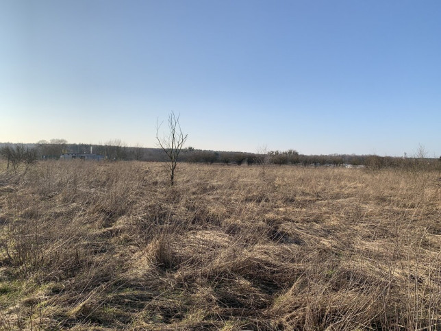 Działka Sprzedaż Żółwia Błoć 5