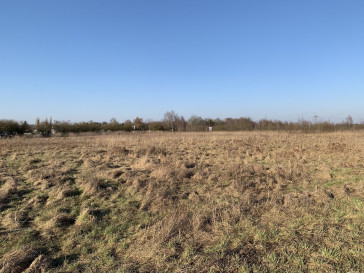 Działka Sprzedaż Żółwia Błoć