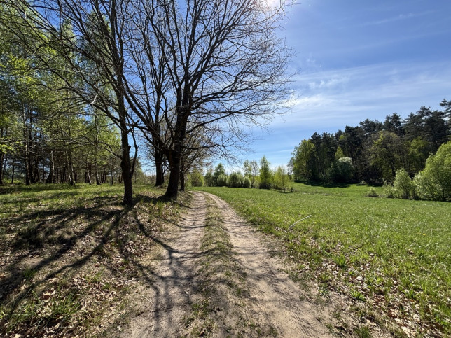 Działka Sprzedaż Kikorze 5