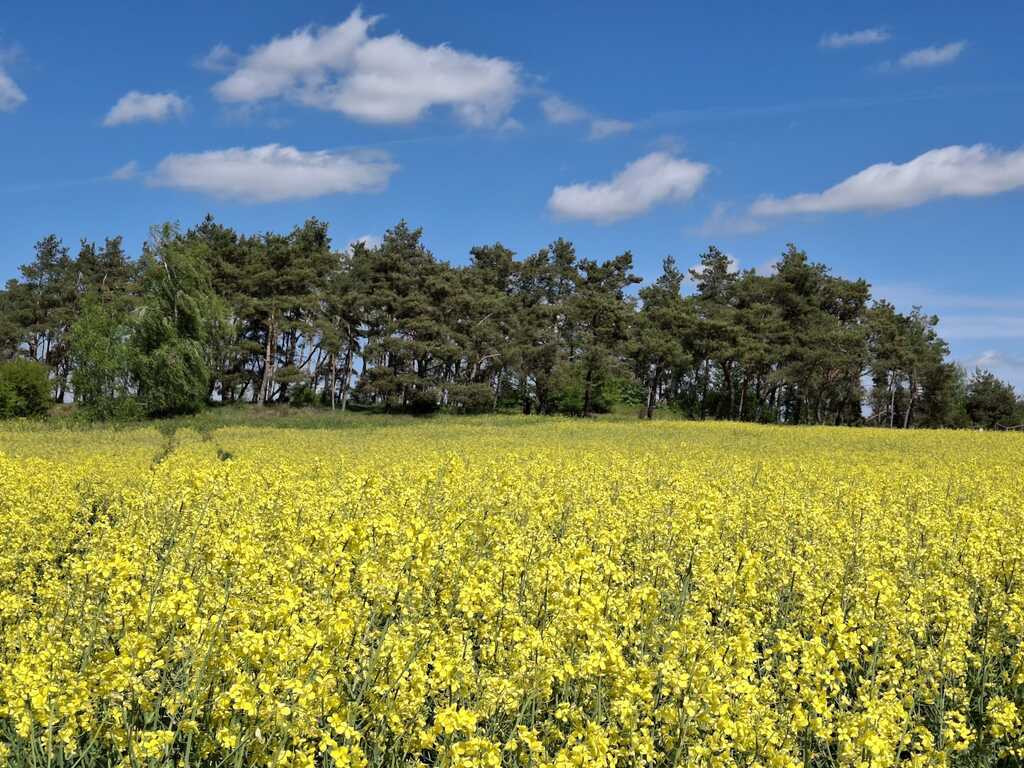 Działka Sprzedaż Parsów
