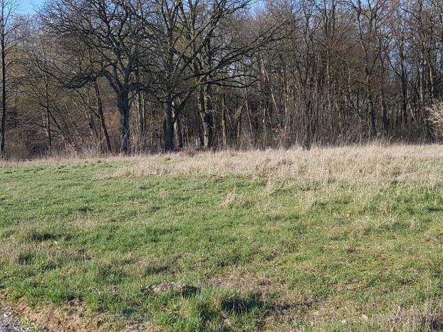 Działka Sprzedaż Kościno 6