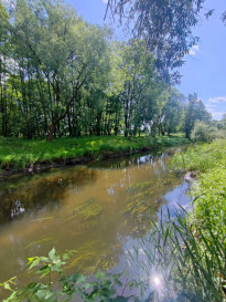 Działka Sprzedaż Żarowo