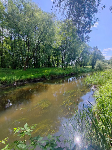 Działka Sprzedaż Żarowo 7