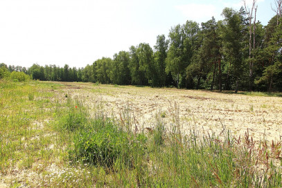 Działka Sprzedaż Grabowo
