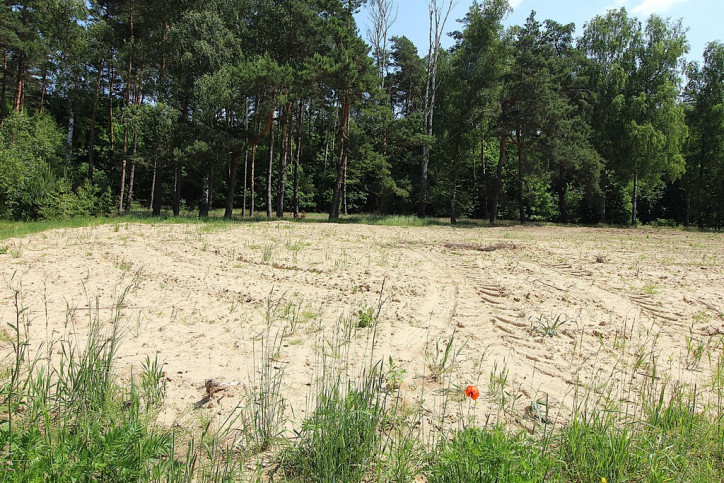 Działka Sprzedaż Grabowo 3