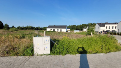 Działka Sprzedaż Buk
