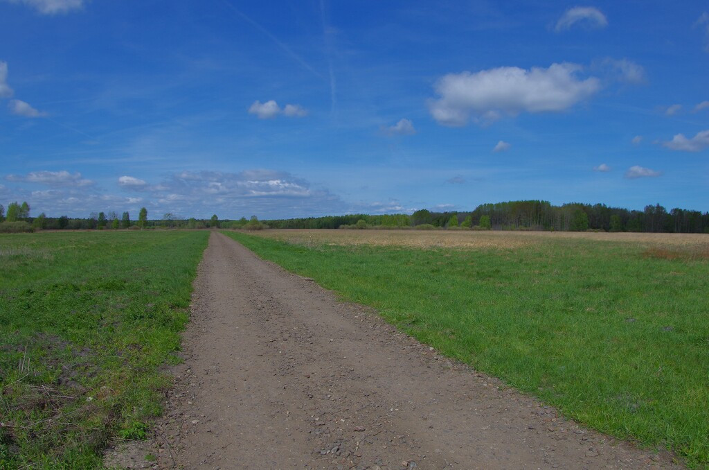 Działka Sprzedaż Niedźwiedź