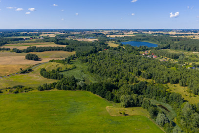 Działka Sprzedaż Grabowo