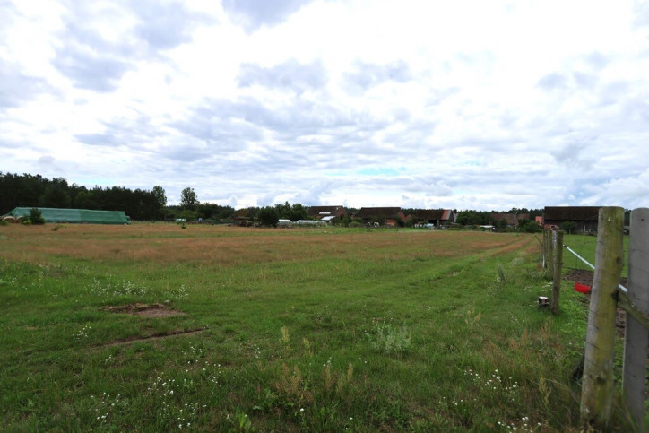 Działka Sprzedaż Wierzchosław 4