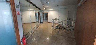 Lokal Wynajem Szczecin Śródmieście-Centrum