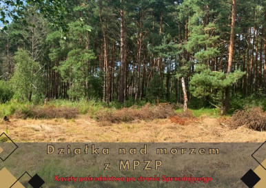 Działka Sprzedaż Międzywodzie