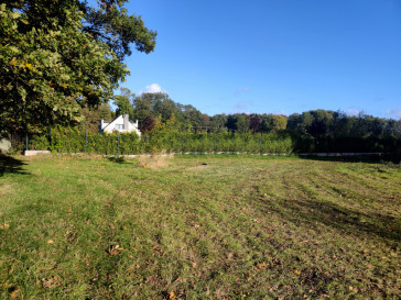 Działka Sprzedaż Rzędziny