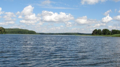Działka Sprzedaż Dąbrowica