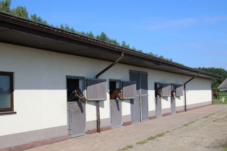 Dom Sprzedaż Dobropole 12