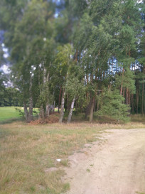 Działka Sprzedaż Tanowo Szczecińska