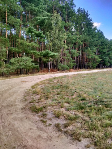 Działka Sprzedaż Tanowo Szczecińska 4