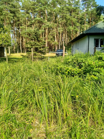 Działka Sprzedaż Tanowo Szczecińska 6