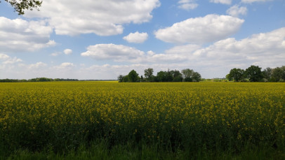 Działka Sprzedaż Mielno
