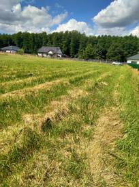 Działka Sprzedaż Grzepnica