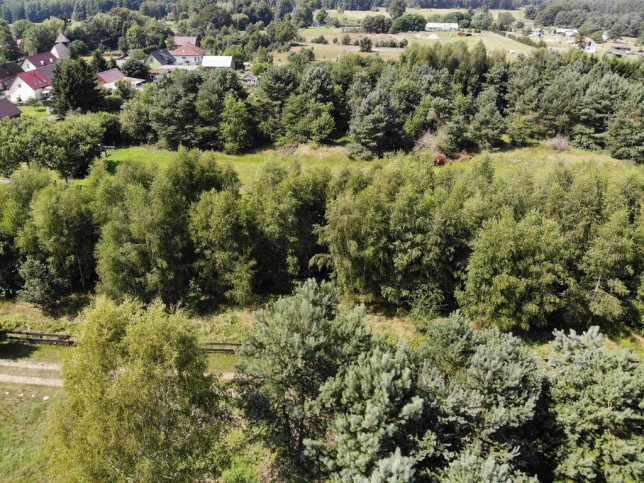 Działka Sprzedaż Dzisna 4