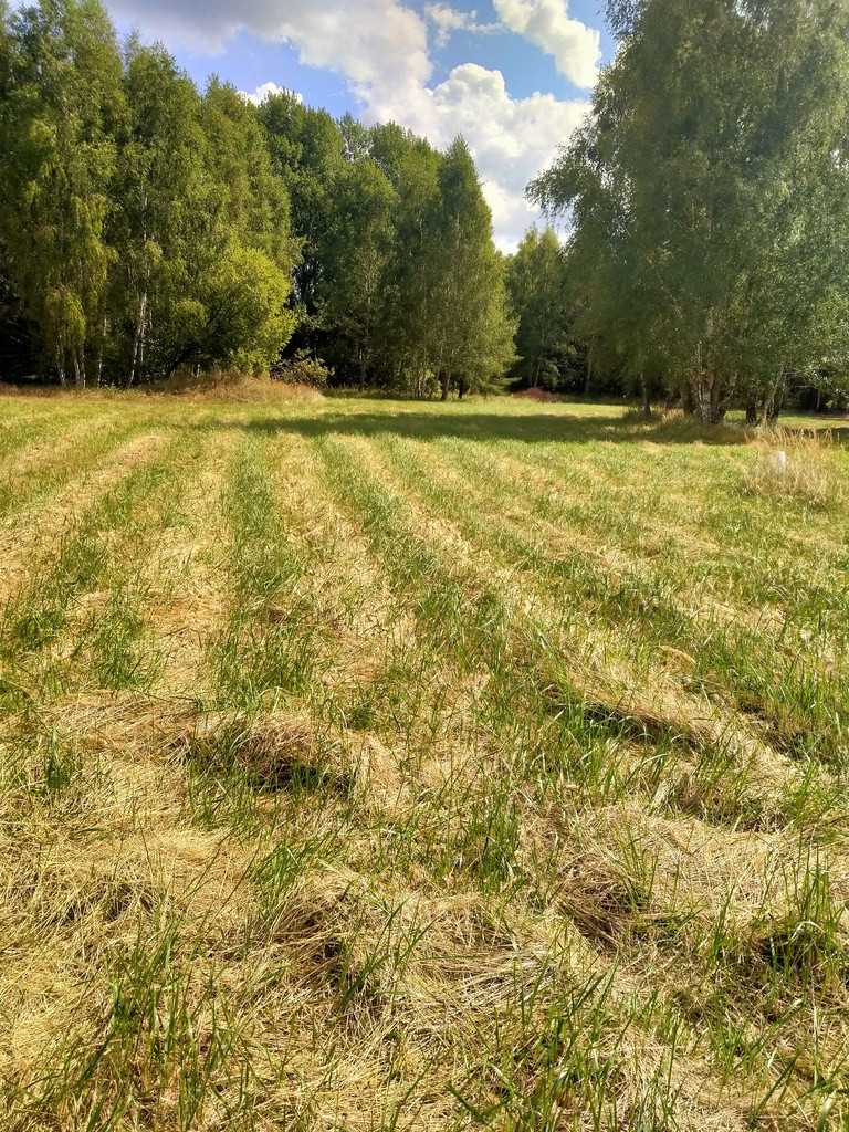 Działka Sprzedaż Grzepnica