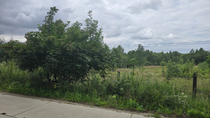 Działka Sprzedaż Dobra Graniczna 4