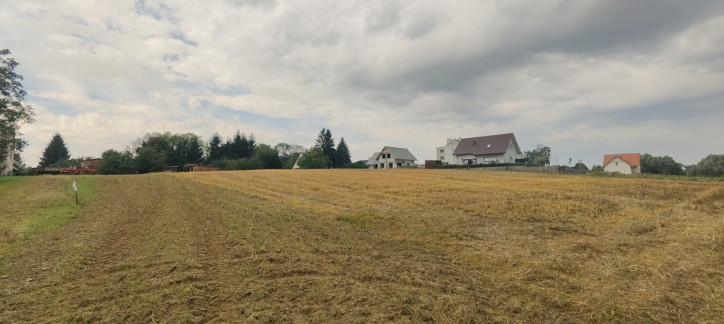 Działka Sprzedaż Barnisław 4