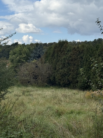 Działka Sprzedaż Szczecin Pilchowo 1