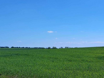 Działka Sprzedaż Grabowo