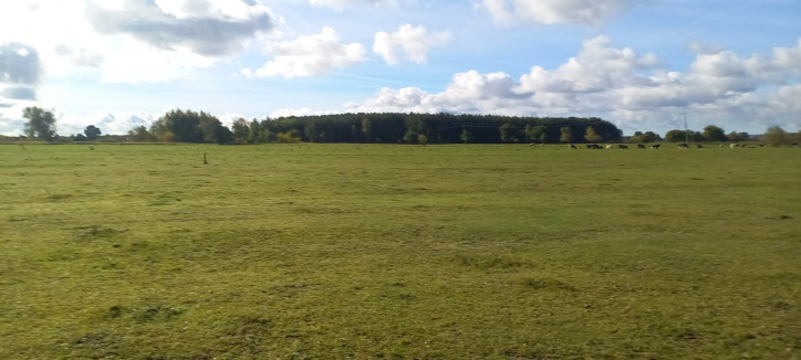 Działka Sprzedaż Borzysławiec 1