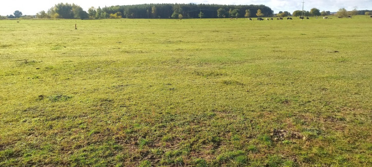 Działka Sprzedaż Borzysławiec 9
