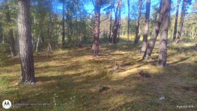 Działka Sprzedaż Dziwnów
