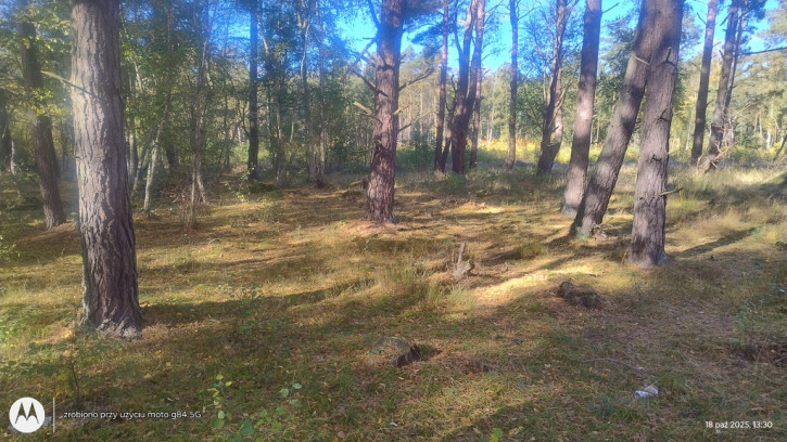 Działka Sprzedaż Dziwnów 2
