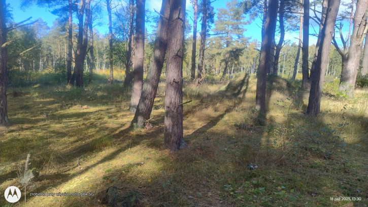 Działka Sprzedaż Dziwnów 1