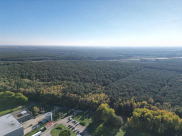 Działka Sprzedaż Łozienica