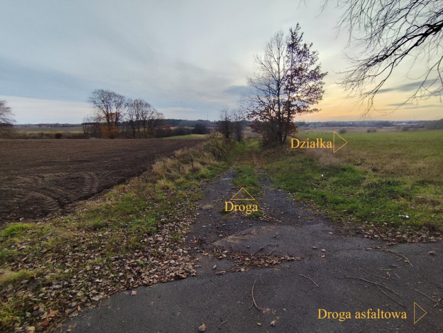 Działka Sprzedaż Wojcieszyn 8