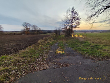 Działka Sprzedaż Wojcieszyn