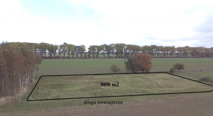 Działka Sprzedaż Chrząstowo 2
